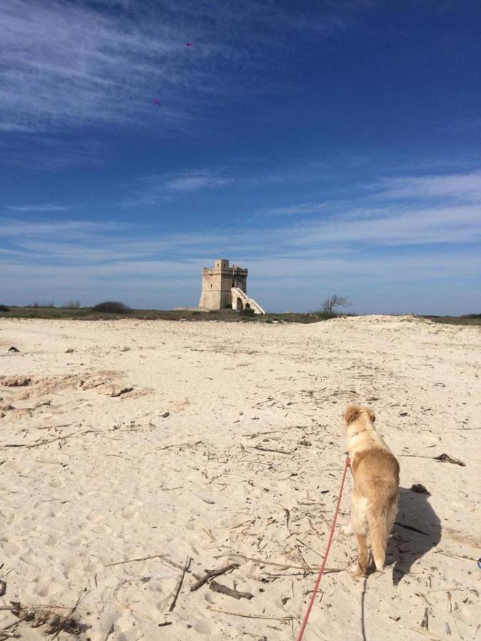 Villa Domenica Torre Squillace Экстерьер фото